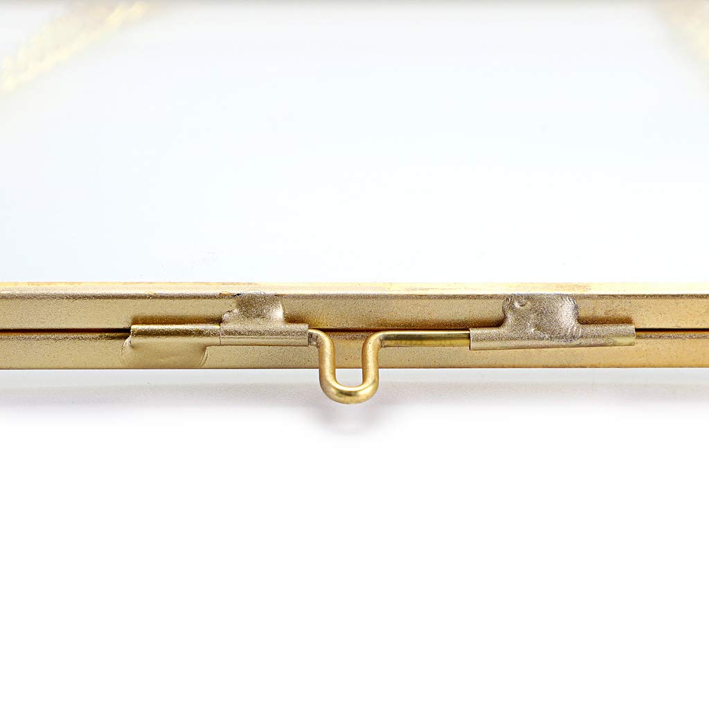 JUXYES Set of 2 Wall Hanging Brass Frames for Pressed Flowers, Golden Modern Hanging Picture Artwork Display Frame, Double Glass Floater Style Gallery Wall Frame for Photo Picture Poster etc, 4x6 Inches