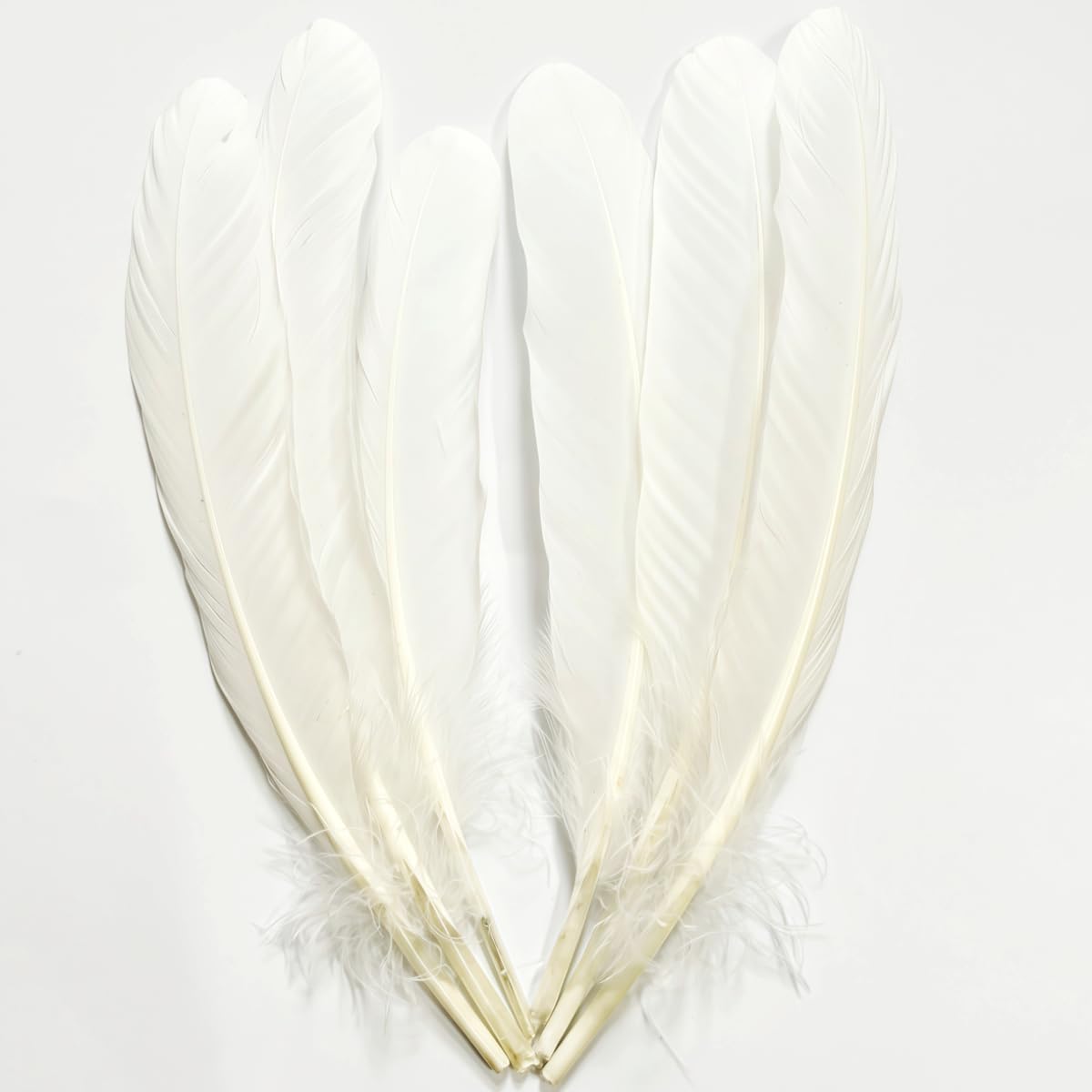 White Feathers 8-10inch,50PCS 21-25cm Bulk Feather for Crafts,Natural Long Goose Feather,for Wedding Dress and Party Costumes Decoration,DIY Fabricating Handicraft Article