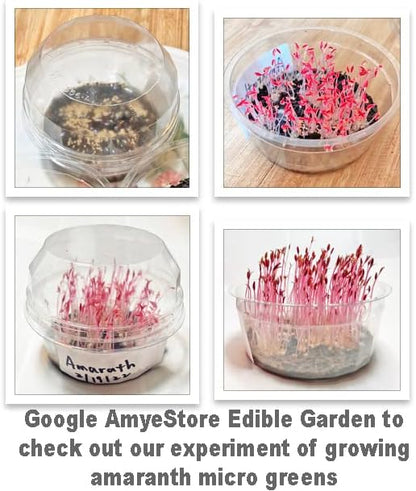 HipGirl Amaranth-1g,1000Seeds Red Amaranth Seeds for Planting.Chinese Spinach Seeds for Planting.Non GMO Seed