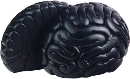 6.5Inch Set Brain Bookends, Tall Brain Decorative Resin Book Shelf Organizers Book Holders Shelf Dividers Book Ends