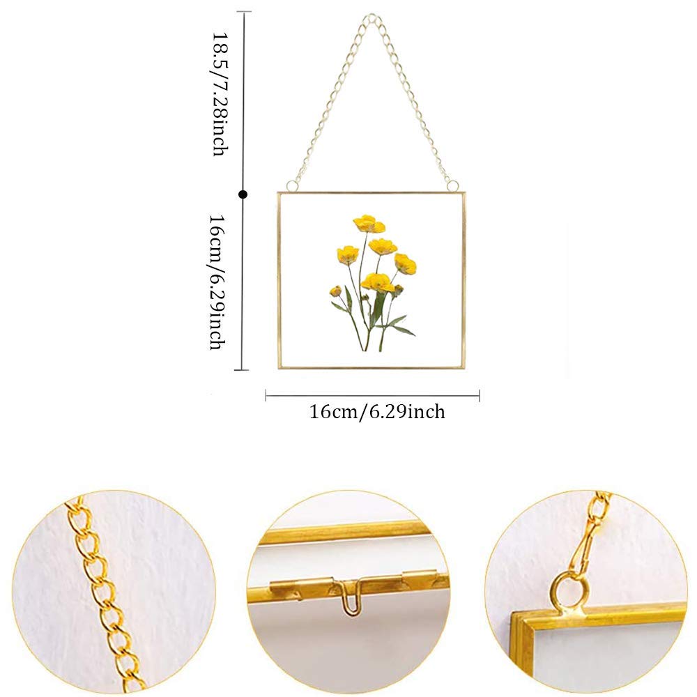 Pressed Flower Frame, Hanging Picture Frame for DIY Artwork Display Clear Glass Wall Brass Frames for Plant Specimen Dried Flower Square Photo Frame 6x6 - Gold