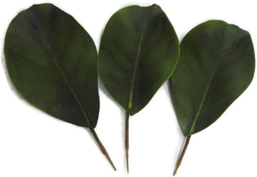 Artificial Magnolia Leaves Pack of 30