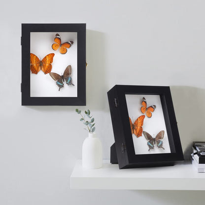 IHEIPYE Insect Display Case Wall Mount Bug Display Case Collection Box for Butterfly Specimen with Anti Fade UV Protection Acrylic Top Eva Foam Pinning Board and 3 Sizes Pins Insect Shadow Box