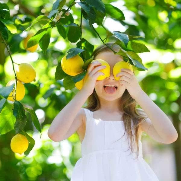 [2 Gardenera's Award-Winning Lemon Tree Soil Mix: The Ideal Choice for Healthy, Productive Citrus Trees - Quart Bag]