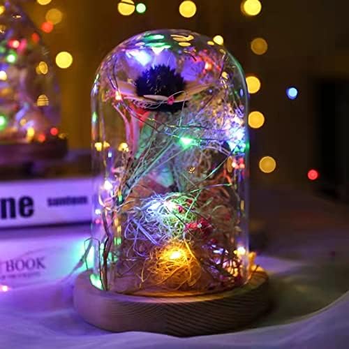 1 Pack (5m/16ft Sanniu Led Fairy Lights Battery Operated, Mini Battery Powered Copper Wire Starry String Lights
