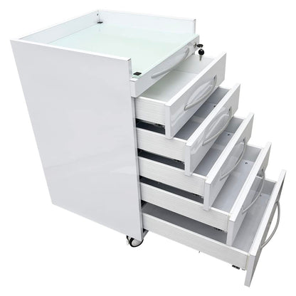 BEILOCKERY Dental Special Storage Cabinet, Stainless Steel Laminate Dental Cabinet Mobile Cart with 5 Drawers and ABS Partition, Lockable Moving Side Cart with Wheels