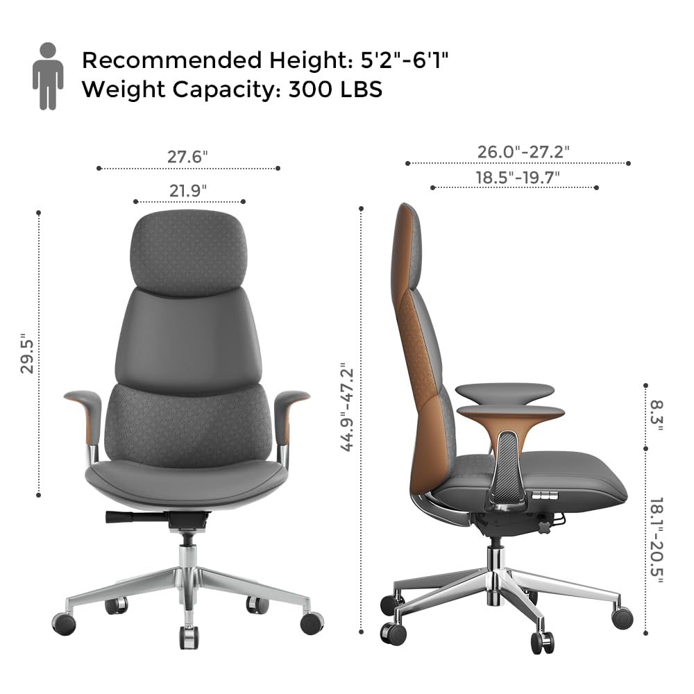 OMIDI Nyla Executive Office Chair - Genuine Leather Ergonomic High-Back Desk Chair with Adjustable Lumbar Support, Tilt Lock, Executive, Home Office, Gray, Litchi Grain
