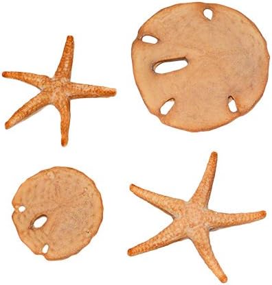 Sand Dollar & Starfish Set Silicone Mold SC146 by First Impressions Molds for Baking