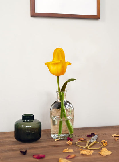 Serene Spaces Living (6 Pack) Bud Vases for Apothecary Jars, Decorative Glass Bottles, Wedding Reception Centerpieces, Mini Flower Vases, Small Medicine Bottles for Home Decor