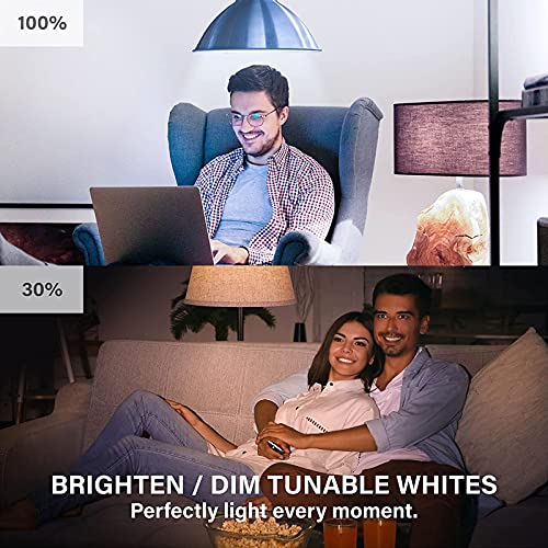 Sengled WiFi Color Changing Light Bulb, Alexa Smart Light Bulbs that Compatible with Alexa & Google Assistant, A19 RGB No Hub Required, 75 W Equivalent 800LM CRI>90, Set of 4