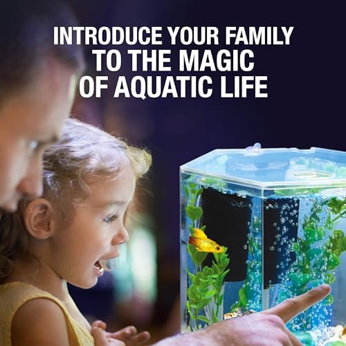 Tetra Bubbling LED Aquarium Kit 1 Gallon, Hexagon Shape, With Color-Changing Light Disc