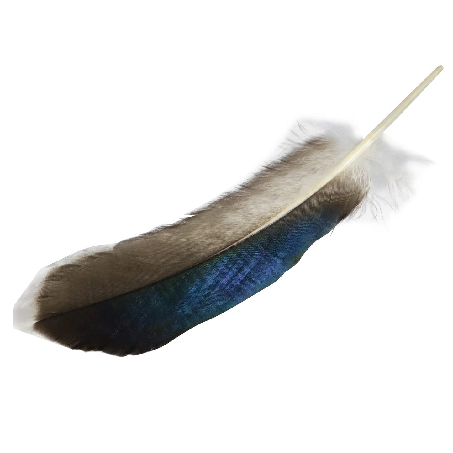 LUORNG 150PCS Duck Feathers, Natural Feather for DIY Craft Art, Decor Feathers for Carnival Halloween Handwork Clothing Costumes Hair Hats Crafts Home Wedding Party Decoration