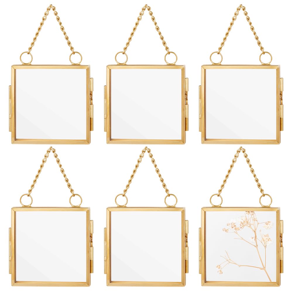 OLYCRAFT 6pcs Gold Mini Glass Hanging Frame 2.1x2.1 Inch Gold Metal Picture Frames Clear Double Glass Floating Frames Hanging Artwork Display Frame for Pressed Flowers Leaf and Artwork