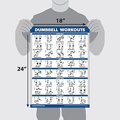 Palace Learning Dumbbell & Barbell Workout Charts - Set of 4 Laminated Muscle Guides (18" x 24")