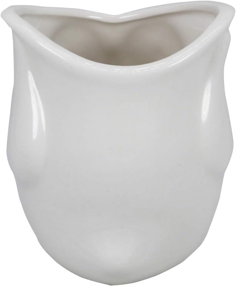 White Ceramic Owl Succulent Planter Pot with Drainage Tray, Cute Animal Cactus Container