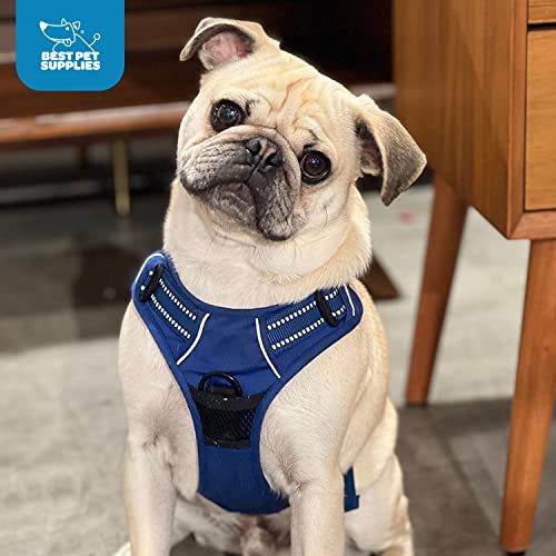 Voyager No Pull Dog Harness for Small Dogs, Dual Leash Attachments, Adjustable Soft but Strong Pet Harness with 3M Reflective Technology, Royal Blue Lattice Nylon, S (Chest: 16-20")