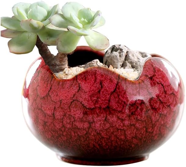 YYW Succulent Pots - 4 Pcs Ceramic Planters in Egg Broken Shell Design with Drainage Hole for Home Office Outdoor Decor