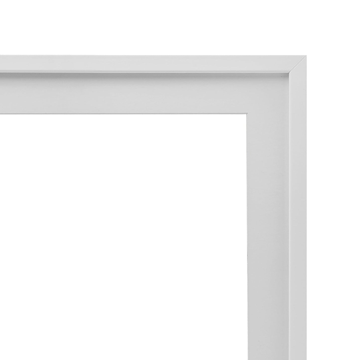 Stupell Industries Simple Pressed Flowers Gray Framed Print Under Glass, design by Lettered and Lined, 16 x 13