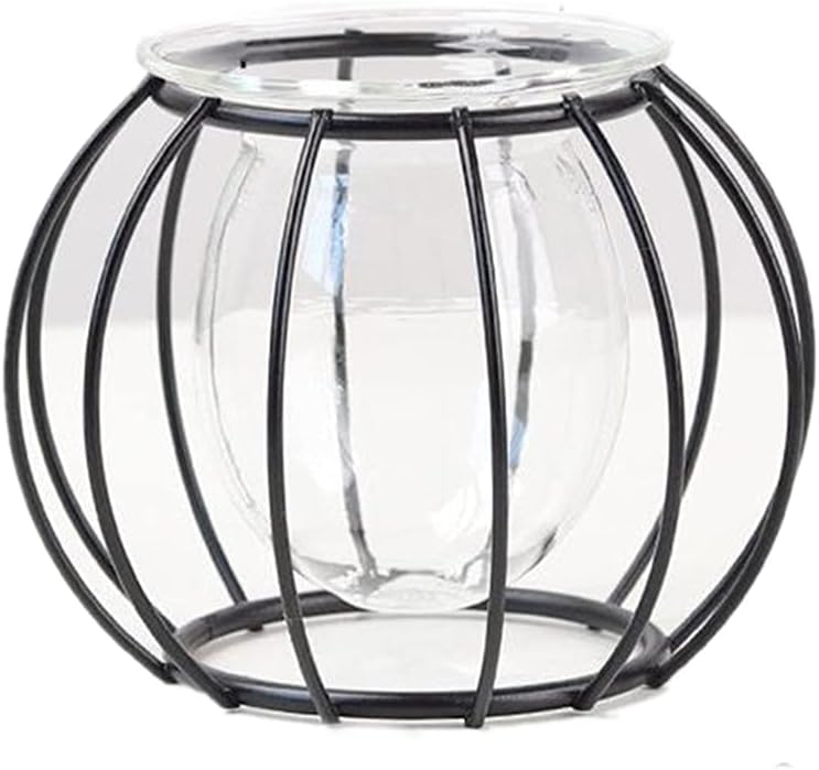 Nordic Small Clear Glass Vase, Metal Geometric Iron Line Cup Pot for Hydroponic Flowers, Modern Home Décor