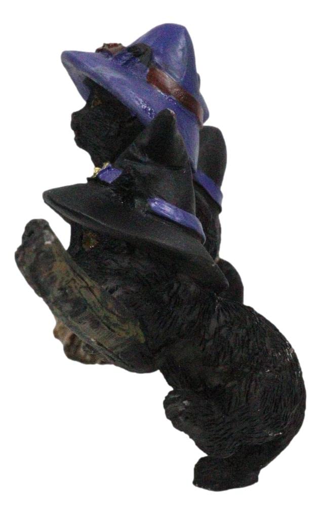 Ebros Gift Lifelike Witching Hour Halloween 5 Black Cats with Witch Hat Riding Long Magical Broomstick Figurine with Glass Eyes Witches Wicca Occult Feline Kittens Decor Figurine