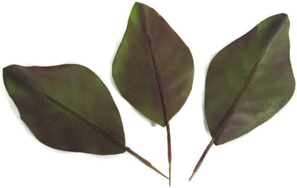 Artificial Magnolia Leaves Pack of 30