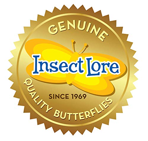 Insect Lore Raise and Release Butterfly Garden Kit – Caterpillar Habitat with redeemable Voucher – STEM-accredited Live Butterfly Growing Kit for Kids, Classrooms, and Homeschool Learning