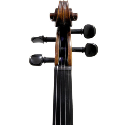 Paititi 4/4 Full Size PTVNSH100 Premium Hand Carved Ebony Fitted Violin Outfit with Case, Bow, String, Tuner, Mute and Rosin