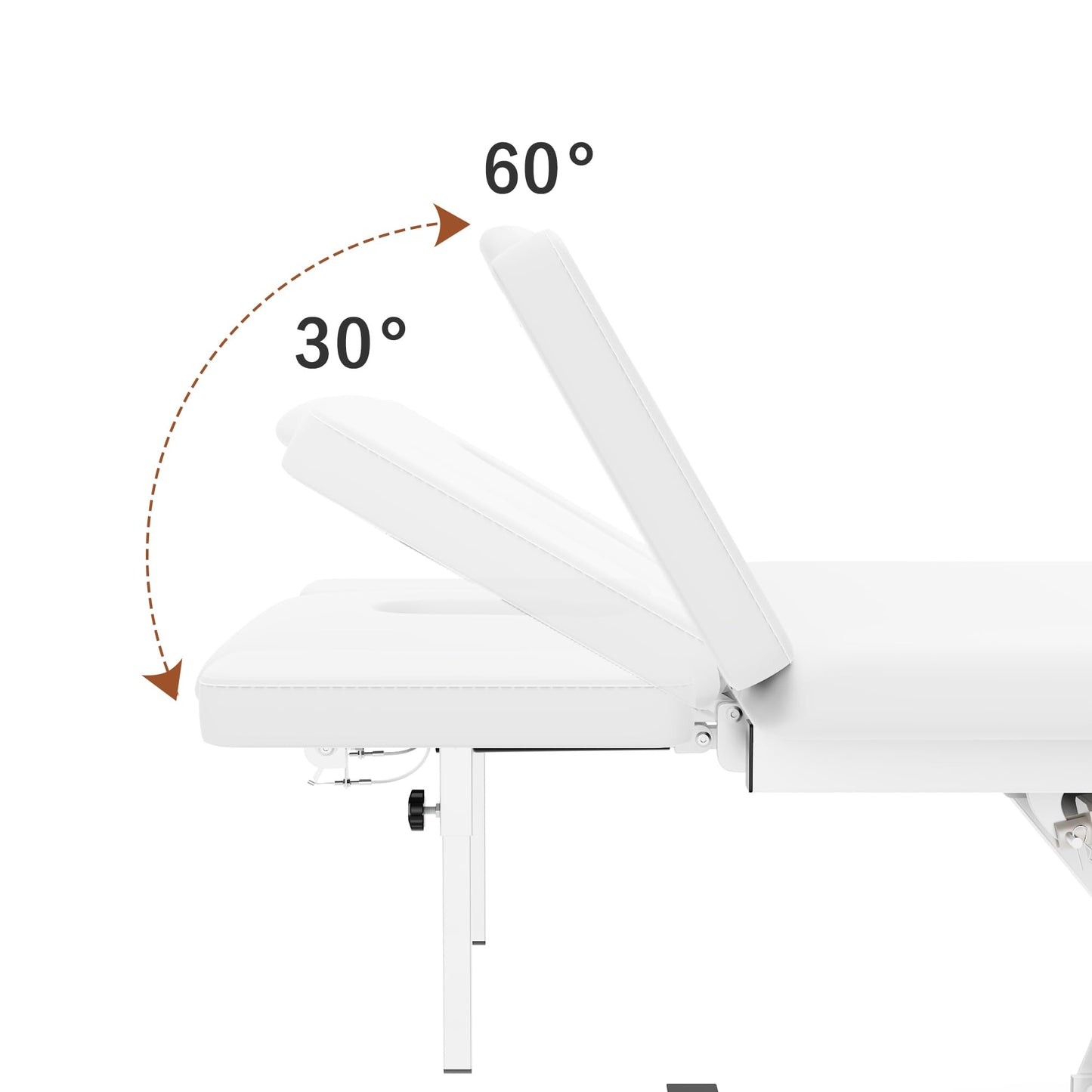 Dolonm 2 Motors Electric Massage Table, Hydraulic Electric Lift Adjustable Waist and Height Lifting Functions for Treatment, Physical Therapy, Spinal Massage, Facial Spa, Waxing, Tattooing - White
