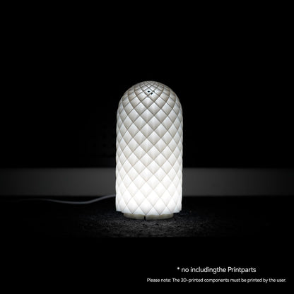 Cxydm led lamp kit 001 Compatible with Bambu Lap H2D/A1/A1mini/P1S/P1P/X1C Light kit, Three Colors with Power-Off Color Memory, Makerworld‘s 3D Printed DIY Light Models, 5V USB Powered, 2Pack+Charger