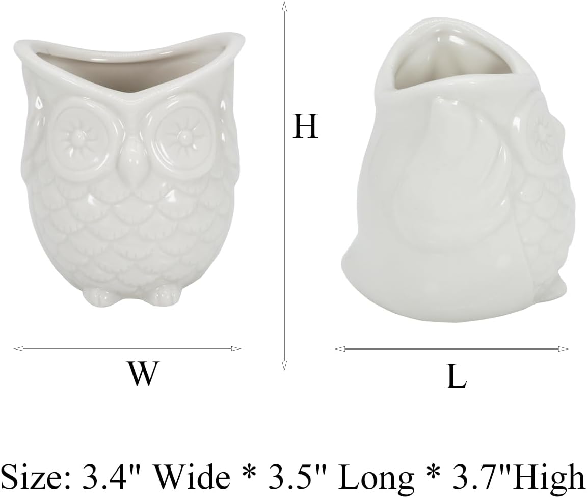 White Ceramic Owl Succulent Planter Pot with Drainage Tray, Cute Animal Cactus Container