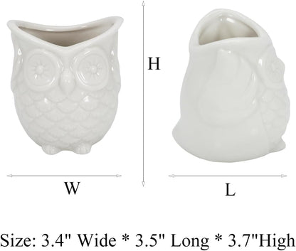 White Ceramic Owl Succulent Planter Pot with Drainage Tray, Cute Animal Cactus Container