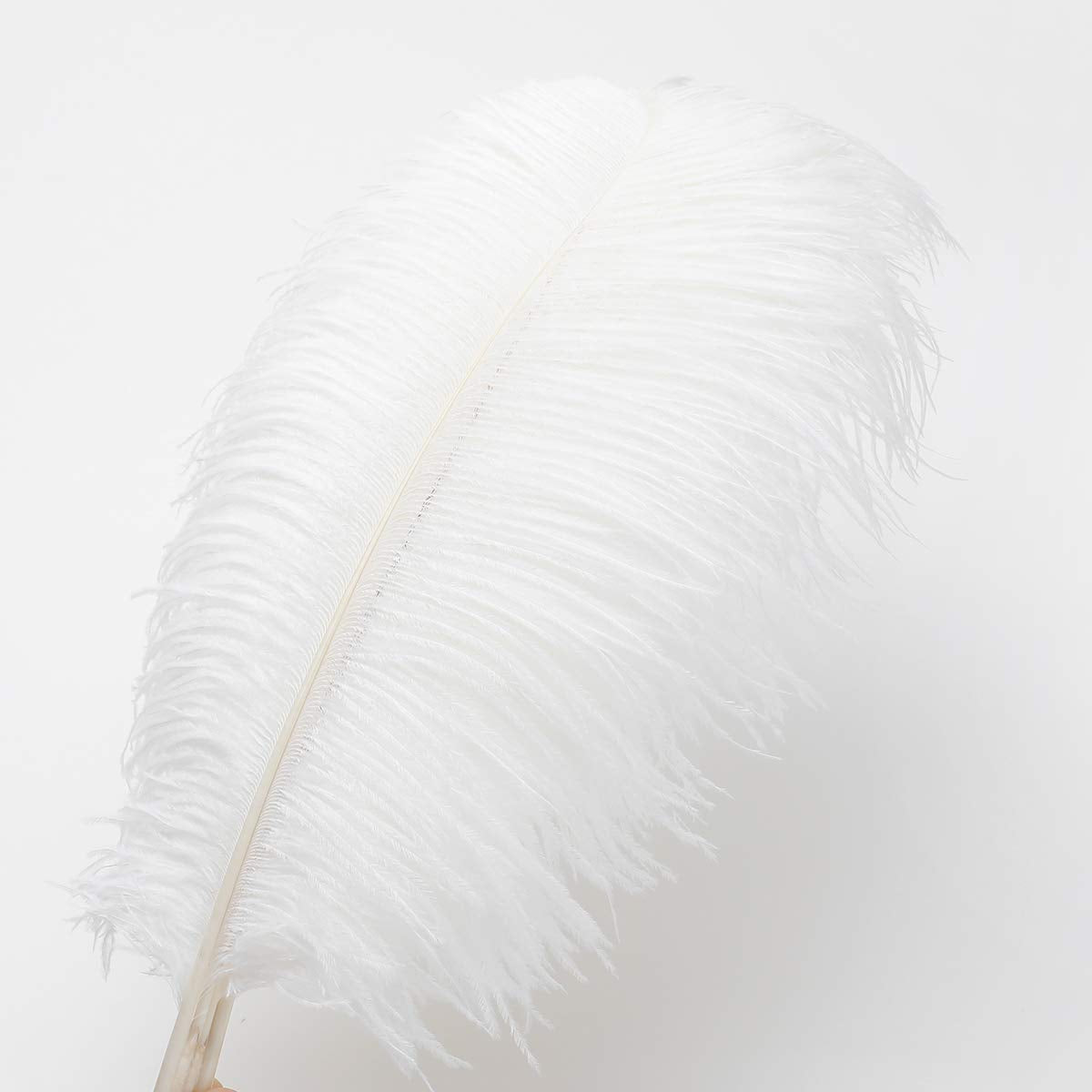 Ballinger 24Pcs 10-12inch Black and White Ostrich Feathers Bundles for Wedding Party Home