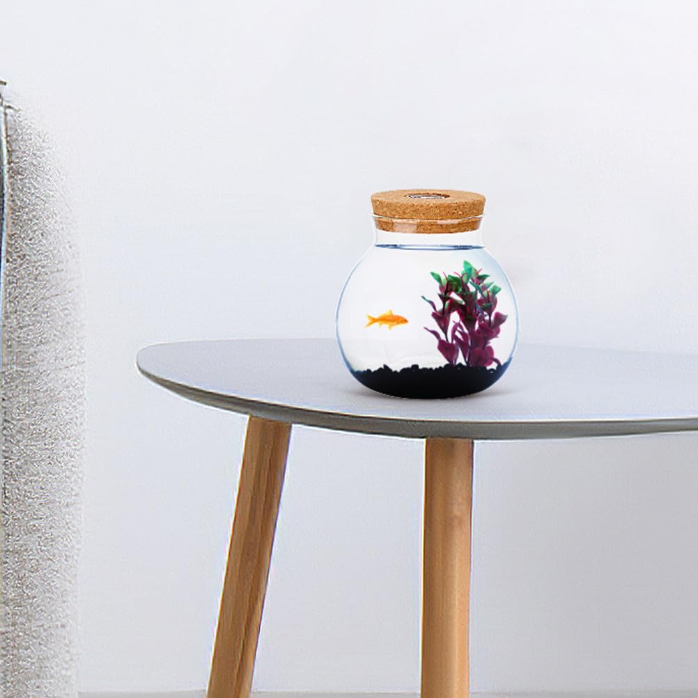 NUOBESTY Glass Terrarium Jar with Cork Lid, Hydroponic Plant Container, Desktop Propagation Jar with Led Light for Home Office Tabletop Decor