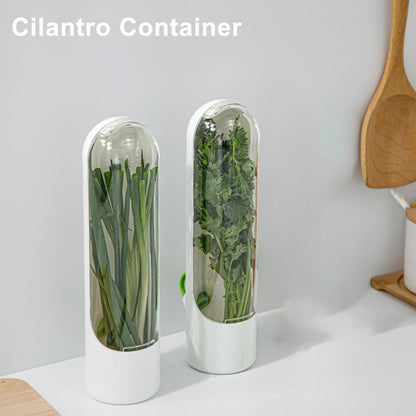Ovrimelle 2 Pack Herb Keeper Container for Refrigerator, Clear Storage Bottle Fresh Storage Container for Cilantro Parsley Mint, Fresh Produce Saver, Extends Freshness for 2-3 Weeks