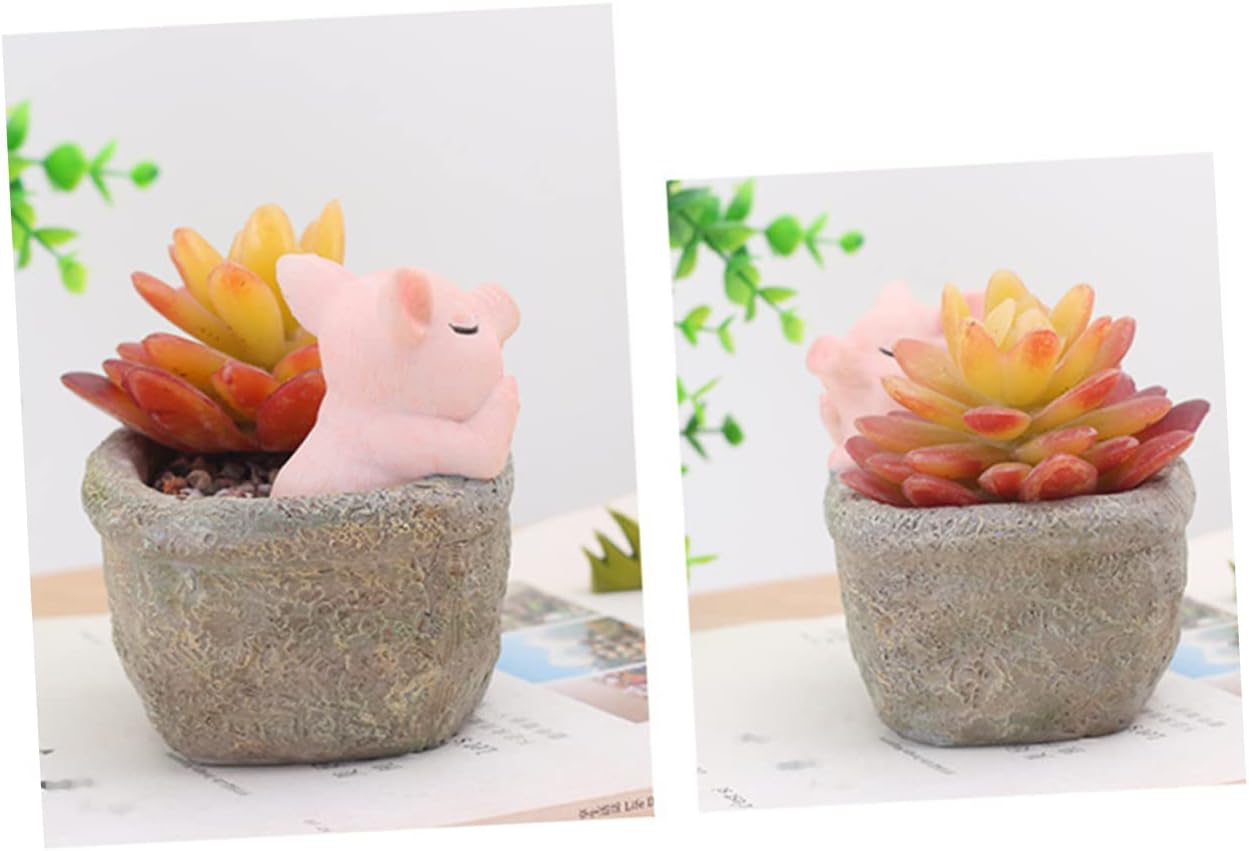 Yardwe Ceramic Planter, Unique Cactus Pot, Decorative Airplant Pot, Mini Container for Bonsai or Desk Topper