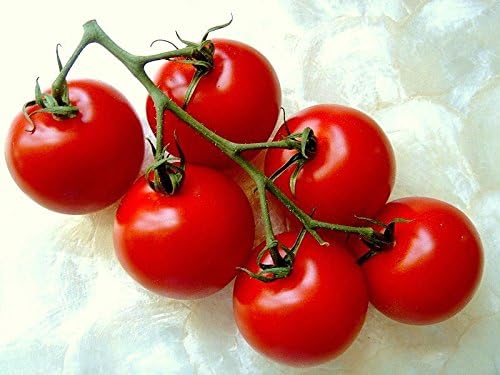 Campari Tomato Seeds - Sweet Vine Variety
