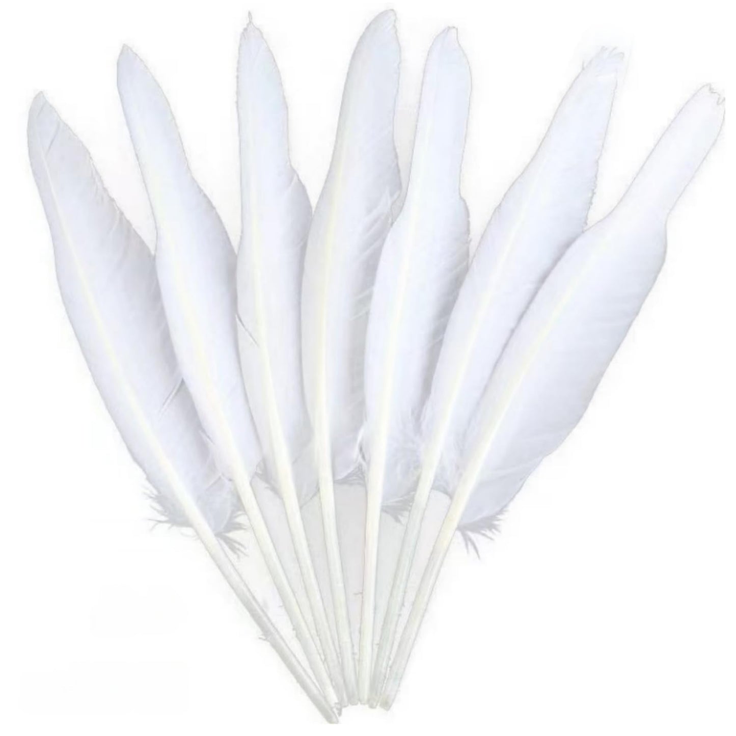 Bulk 28 pcs Natural White Goose Feathers,Long 10-12 inch (25-30cm) for Pen DIY Crafts,Wedding Centerpieces,Angel Wings,Parties (White)