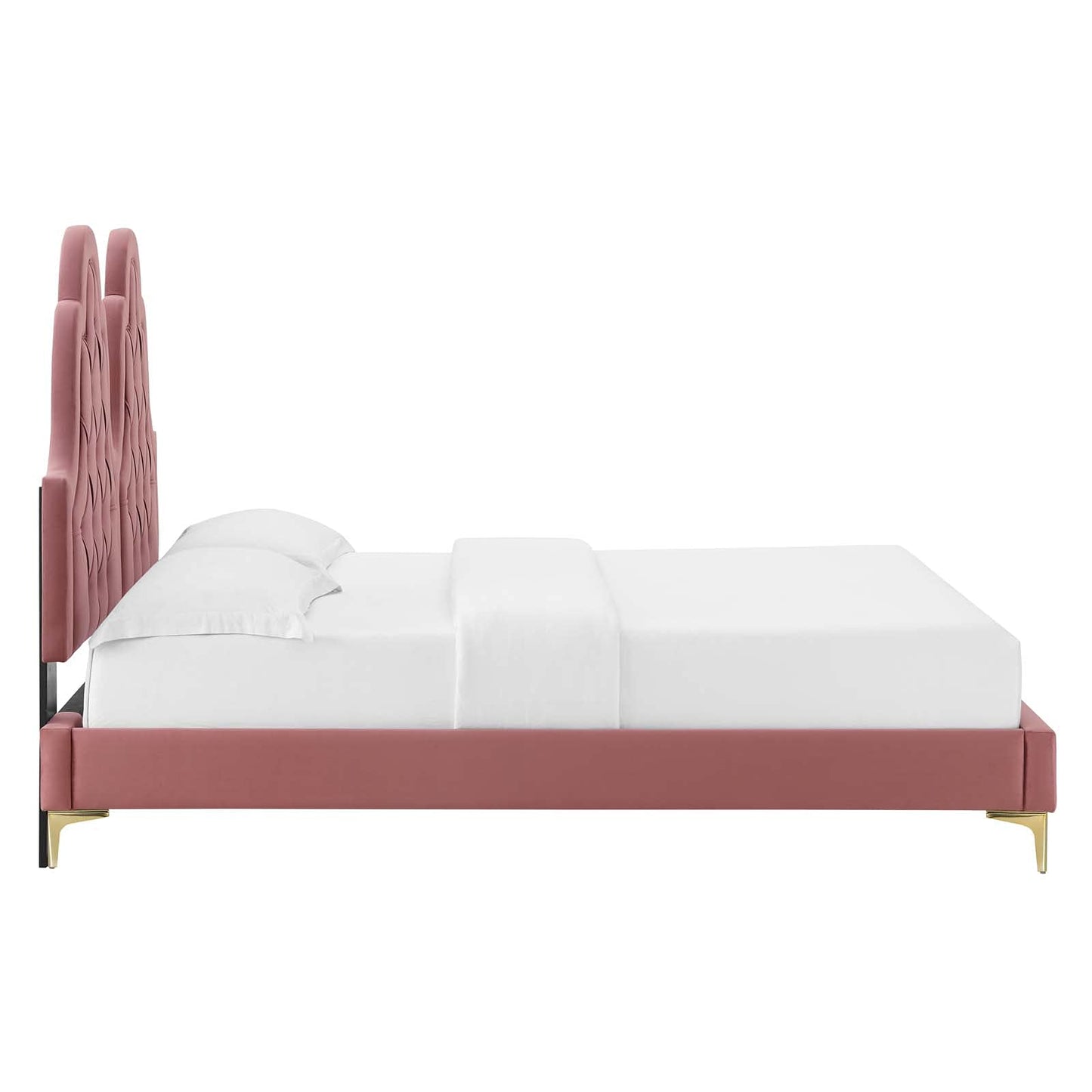 Modway Alexandria Tufted Performance Velvet Twin Platform Bed in Dusty Rose with Gold Legs