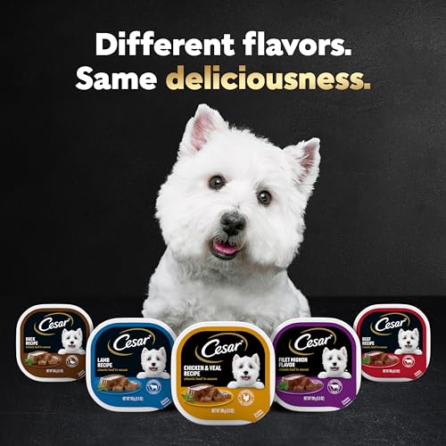 Cesar Puppy Wet Dog Food Classic Loaf in Sauce Chicken & Beef Recipe, 3.5 oz. Easy Peel Trays (24 Count, Pack of 1)