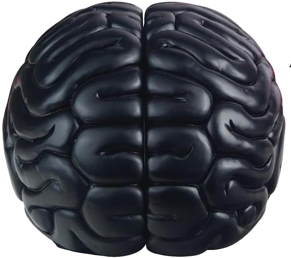 6.5Inch Set Brain Bookends, Tall Brain Decorative Resin Book Shelf Organizers Book Holders Shelf Dividers Book Ends