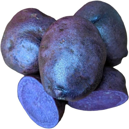 Votaniki (8 Pack) Adirondack Blue Potato Tuber Seedling - Nutty Flavor, High Harvest Potato | Adirondack Blue Potato