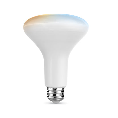 Feit Electric BR30 Smart Flood Light Bulb,2.4GHz WiFi Color Changing and Dimmable, No Hub, Works with Alexa or Google Assistant, BR30/RGBW/CA/AG, 65W, Multi-Color (RGBW), 1 Count (Pack of 1)
