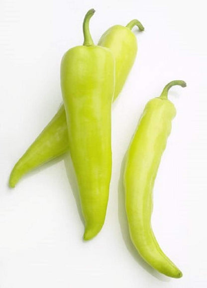 Seeds,50 Count Sweet Banana Pepper COOL BEANS N SPROUTS Brand. Heirloom. Non-GMO. Home Gardening.