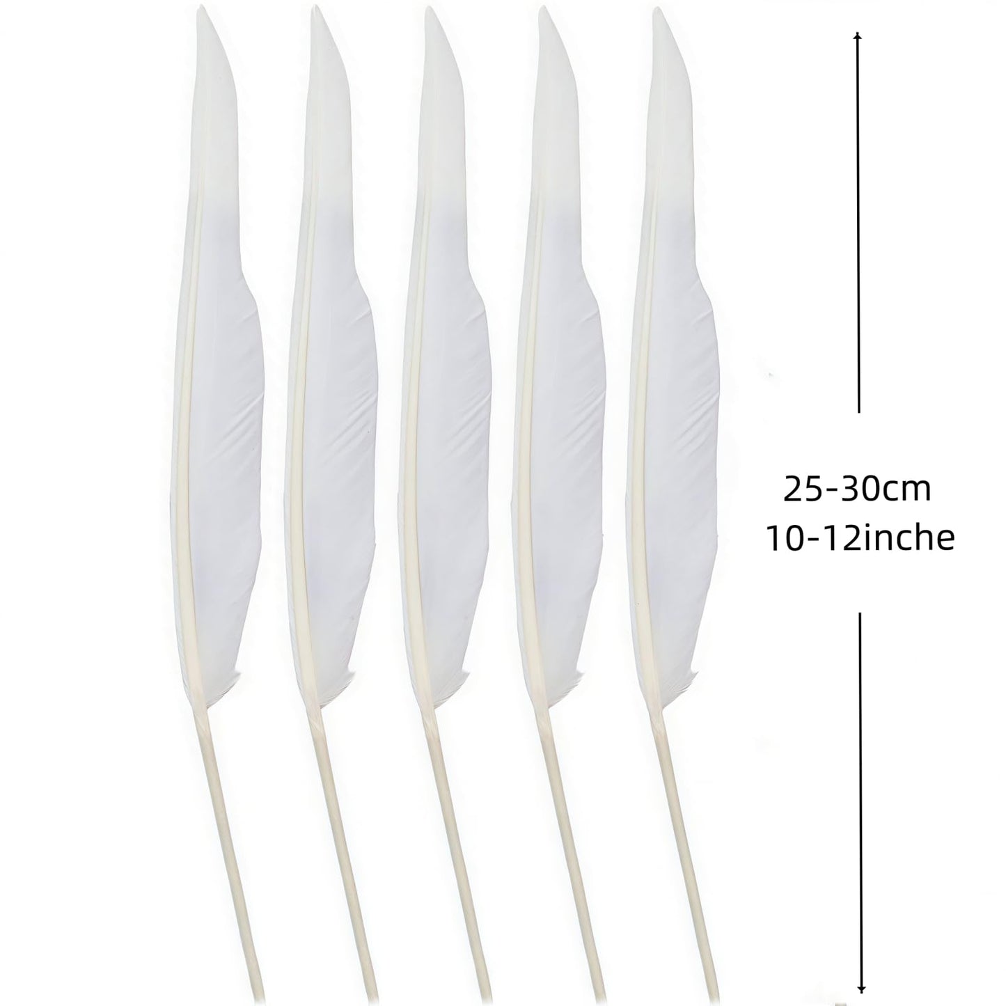 Bulk 28 pcs Natural White Goose Feathers,Long 10-12 inch (25-30cm) for Pen DIY Crafts,Wedding Centerpieces,Angel Wings,Parties (White)