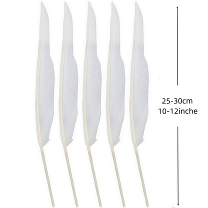 Bulk 28 pcs Natural White Goose Feathers,Long 10-12 inch (25-30cm) for Pen DIY Crafts,Wedding Centerpieces,Angel Wings,Parties (White)