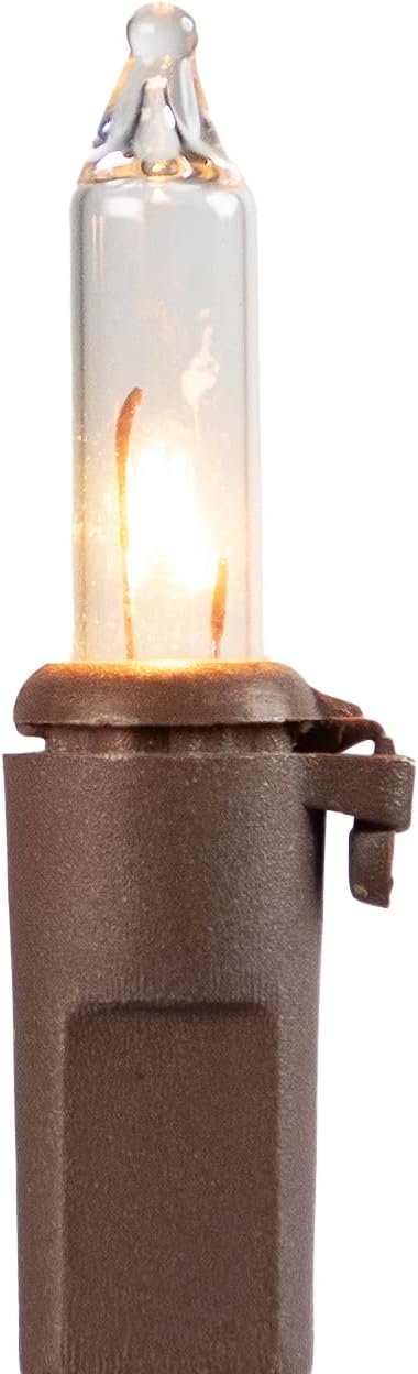 4' 10ct Northlight Mini Incandescent Christmas Lights - Clear - Brown Wire