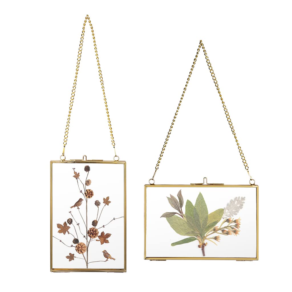 JUXYES Set of 2 Wall Hanging Brass Frames for Pressed Flowers, Golden Modern Hanging Picture Artwork Display Frame, Double Glass Floater Style Gallery Wall Frame for Photo Picture Poster etc, 4x6 Inches