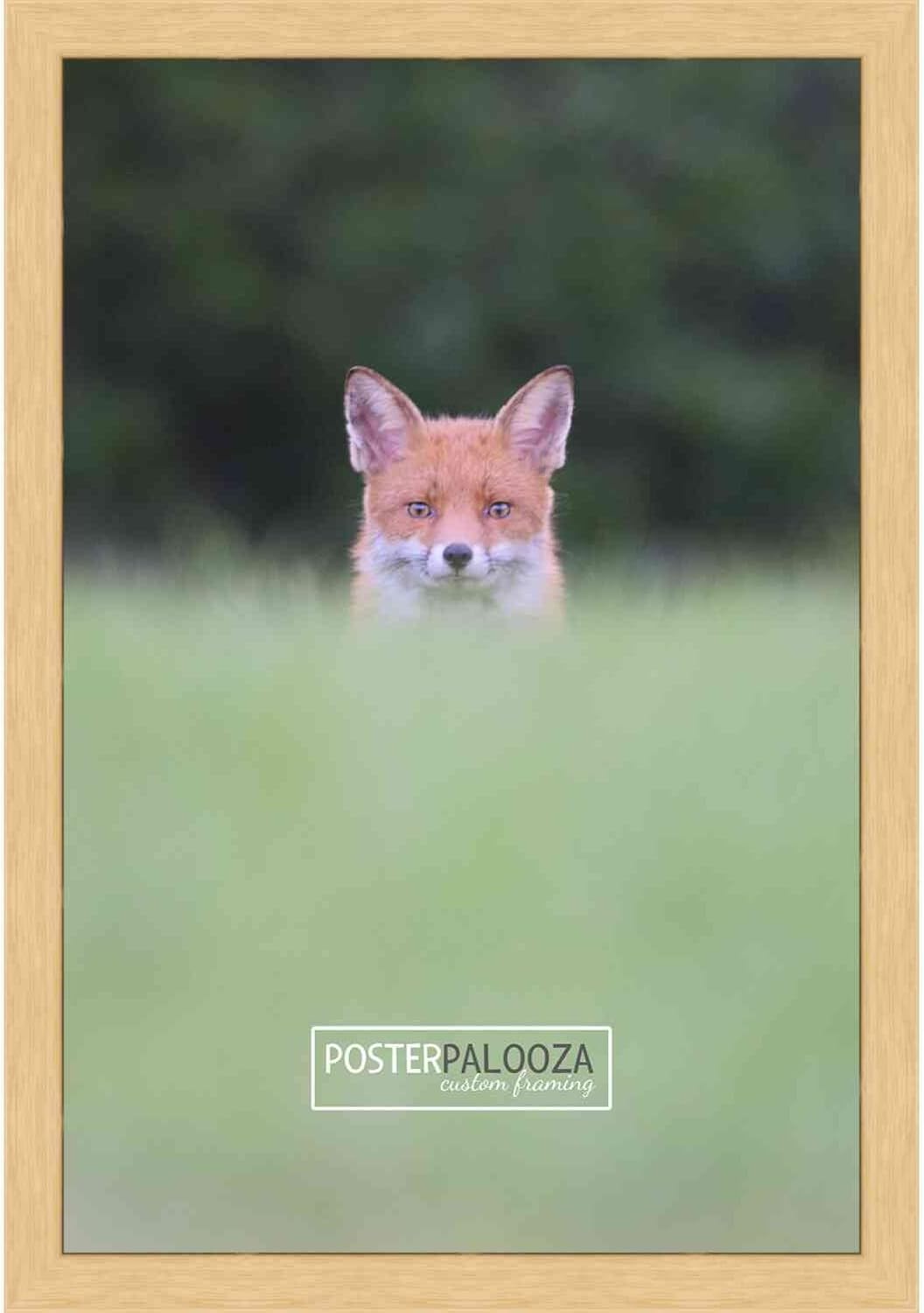 Poster Palooza 6x9 Traditional Natural Wood Picture Frame with UV Acrylic & Hanging Hardware