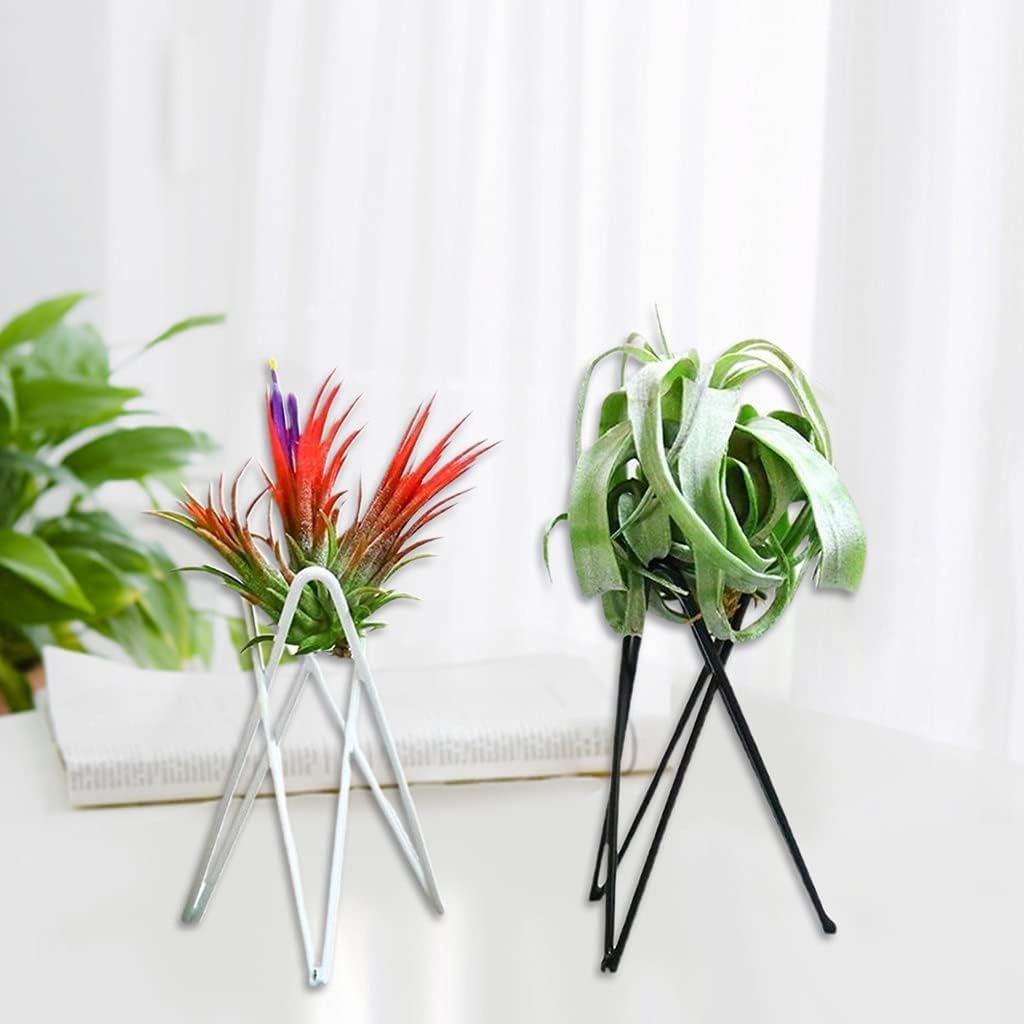 White Metal Air Plant Holder, Geometric Iron Tillandsia Stand, Art Display Home Garden Ornaments for Plant