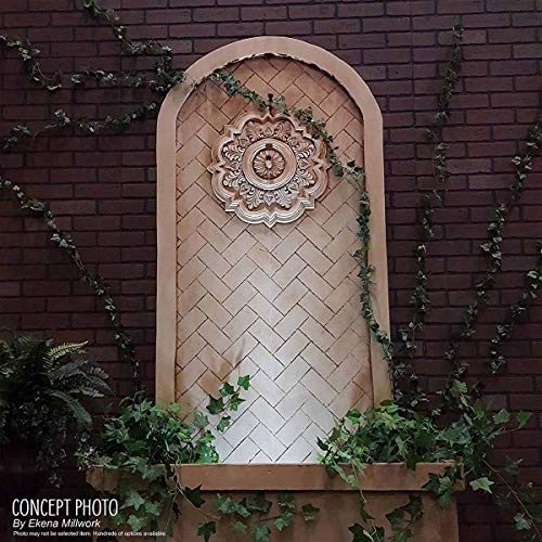 Ekena Millwork CM18NT 18-Inch OD x 3 1/2-Inch ID x 1 1/2-Inch Nottingham Ceiling Medallion